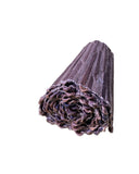 Pangsapin ng Plato (Abaca)