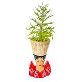 Terno Planter