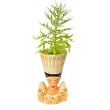 Terno Planter