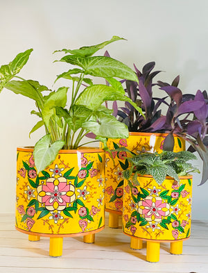 Open image in slideshow, Pintado Planter Pot
